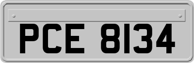 PCE8134