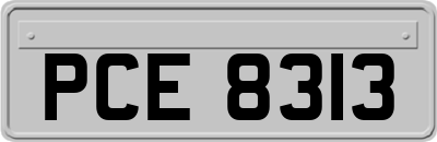 PCE8313