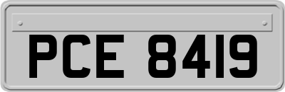 PCE8419