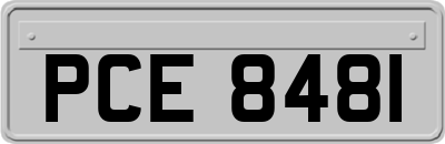 PCE8481