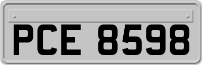 PCE8598