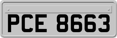 PCE8663