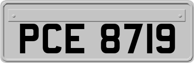 PCE8719
