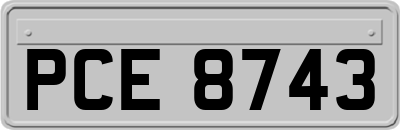 PCE8743