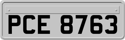 PCE8763