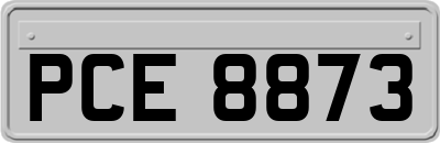 PCE8873