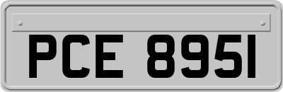 PCE8951