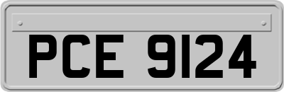 PCE9124