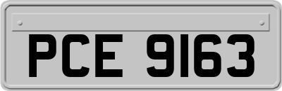 PCE9163