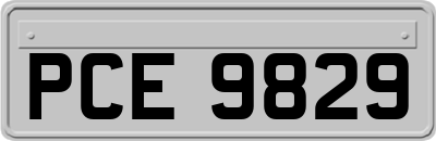 PCE9829