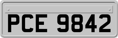 PCE9842