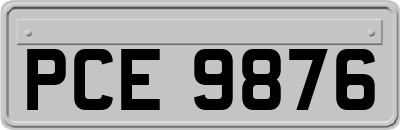 PCE9876