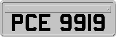 PCE9919