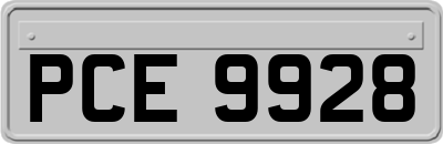 PCE9928