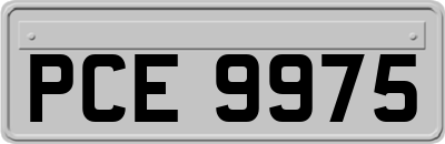 PCE9975