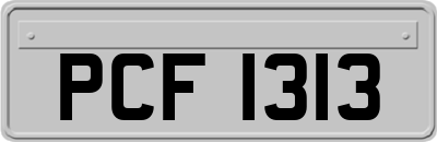 PCF1313