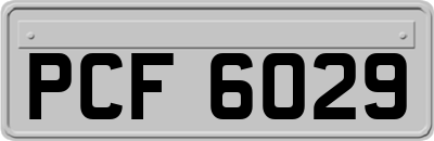 PCF6029