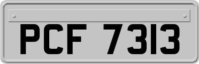 PCF7313