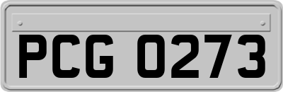 PCG0273