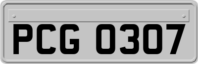 PCG0307