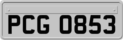 PCG0853