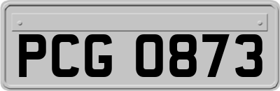 PCG0873
