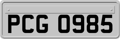 PCG0985