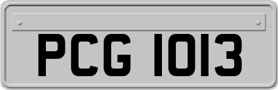 PCG1013