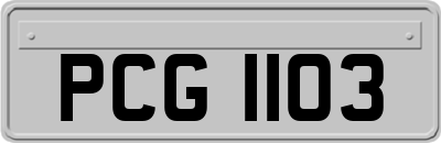 PCG1103