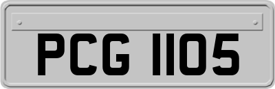 PCG1105
