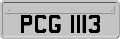 PCG1113