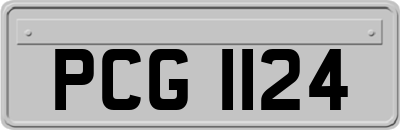 PCG1124
