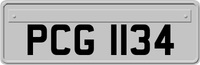 PCG1134