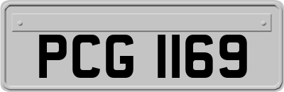 PCG1169