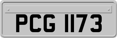 PCG1173