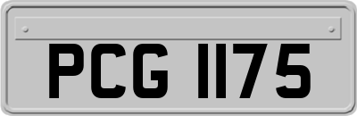 PCG1175