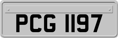 PCG1197