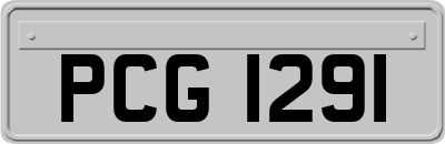 PCG1291