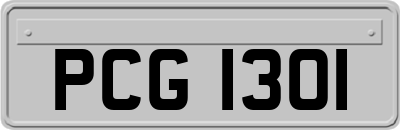 PCG1301