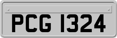 PCG1324