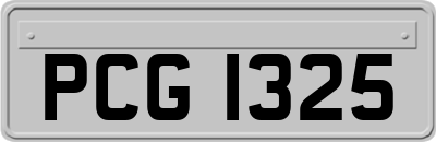 PCG1325