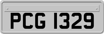 PCG1329