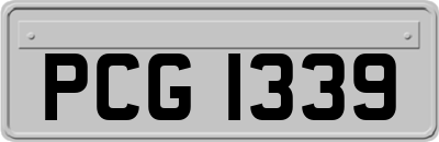 PCG1339