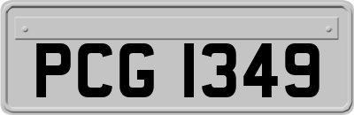 PCG1349