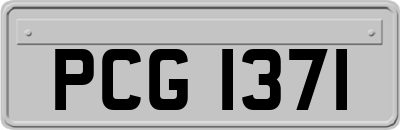 PCG1371