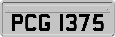 PCG1375