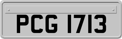 PCG1713