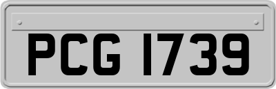 PCG1739