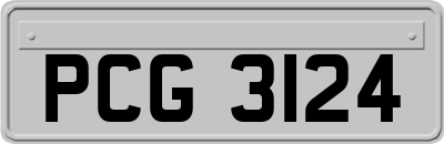 PCG3124