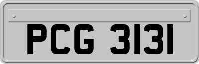 PCG3131
